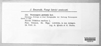 Image Associated With the Occurence